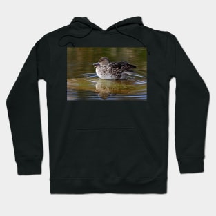 Green-winged Teal - female Hoodie